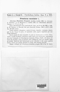 Image Associated With the Occurence